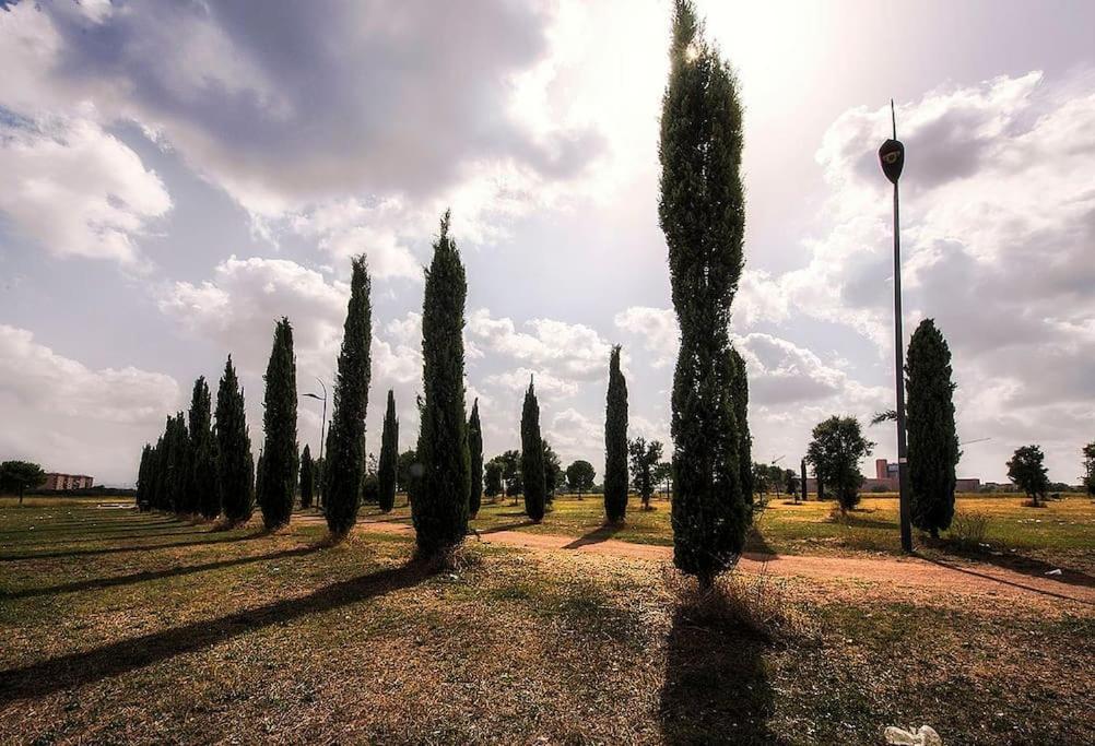 Borghetto Degli Angeli Apartment